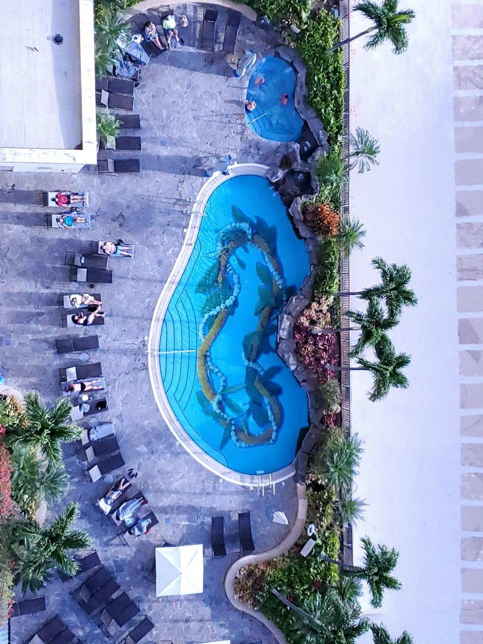 Rooftop Pool